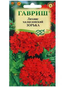 Семена Лихнис 