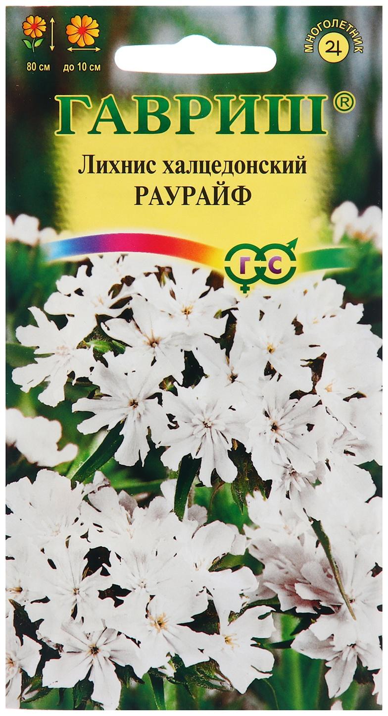 Семена Лихнис 