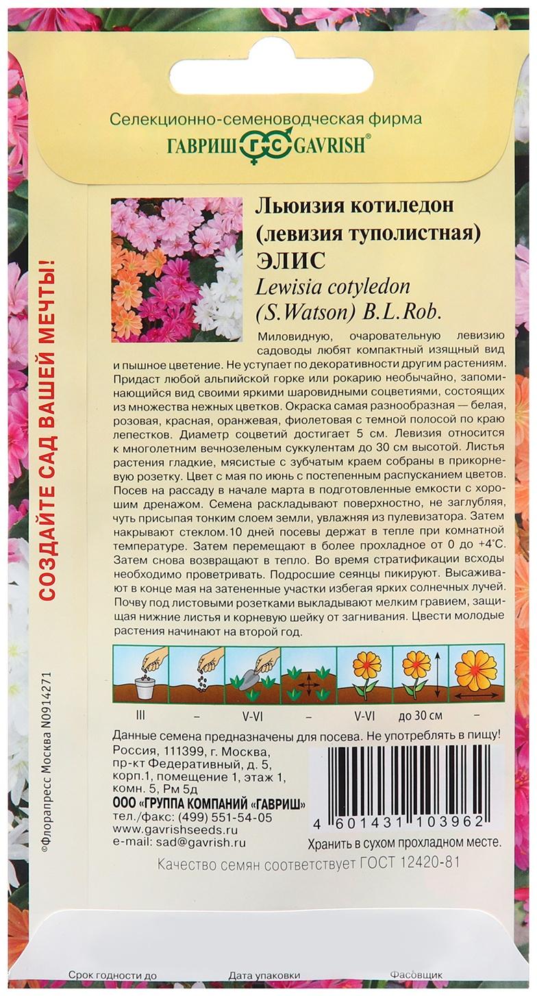 Семена Льюизия 