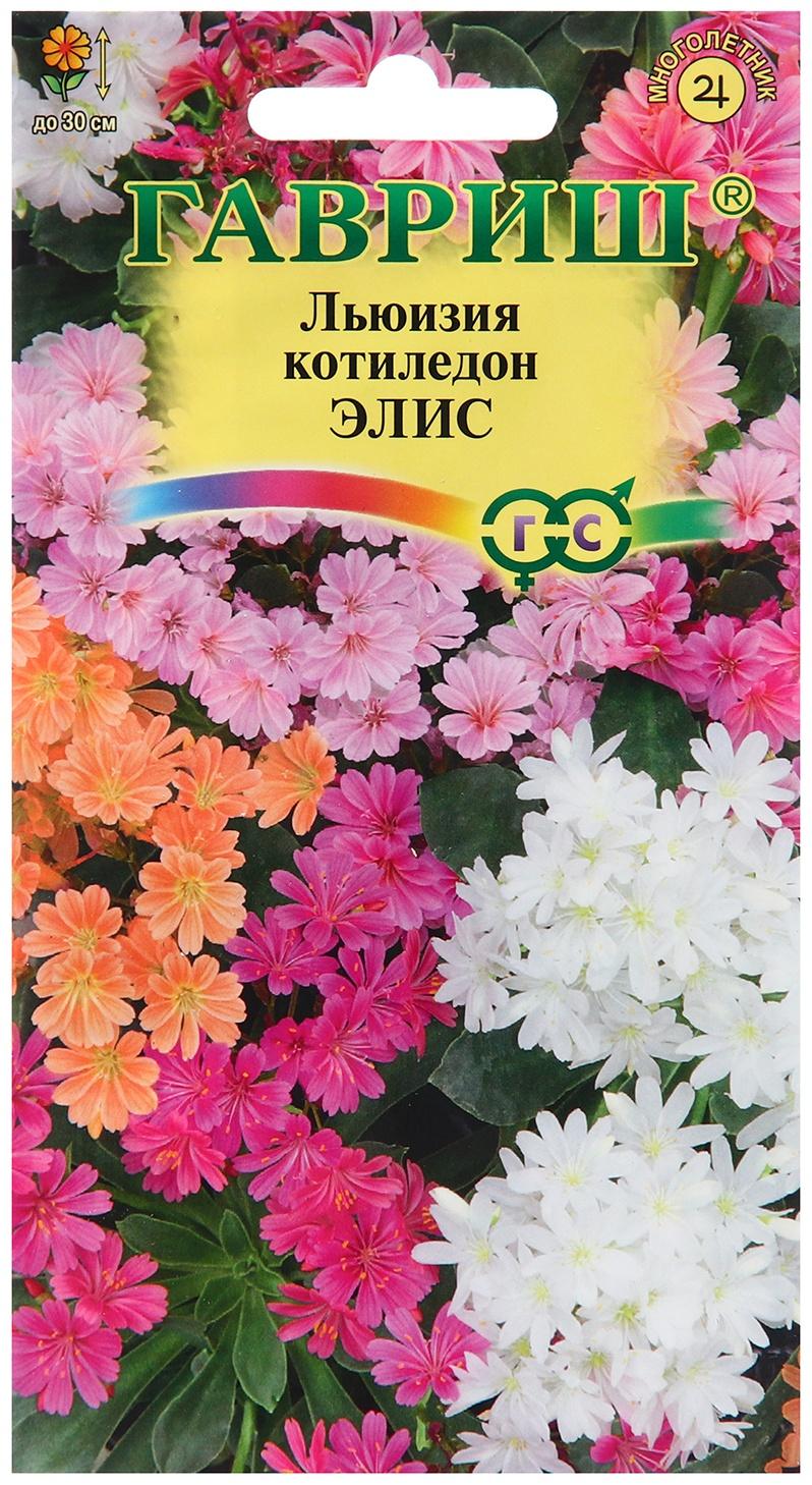 Семена Льюизия 