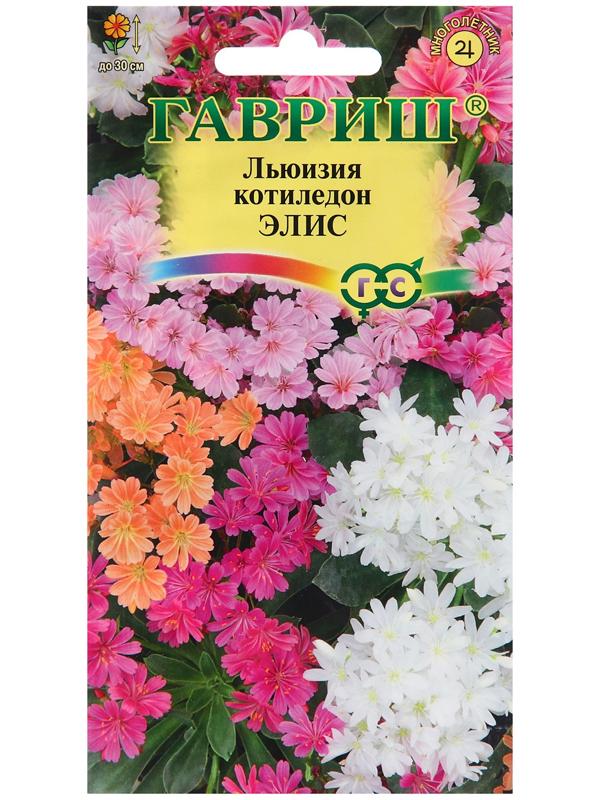 Семена Льюизия 