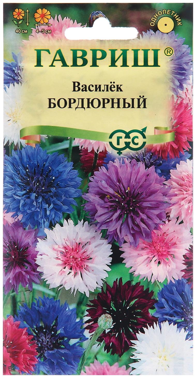 Семена Василек 