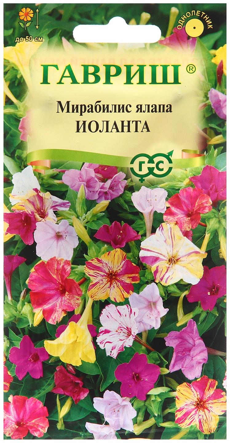 Семена Мирабилис 