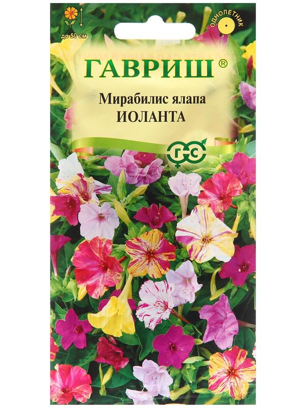 Семена Мирабилис 