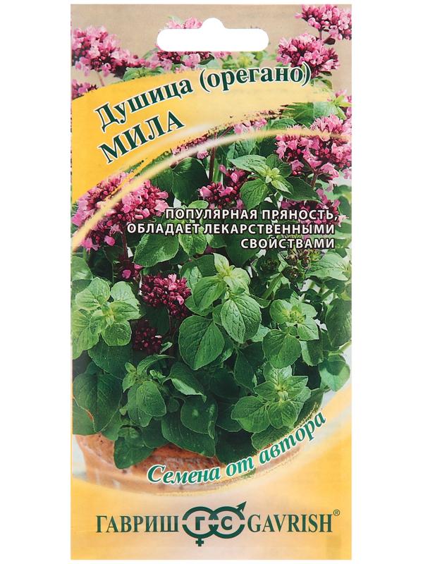 Семена Душица 