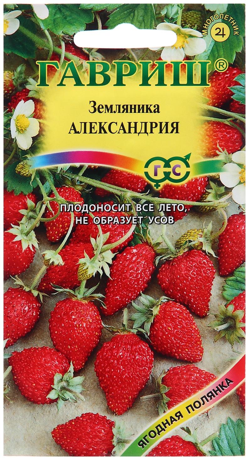 Семена Земляника 