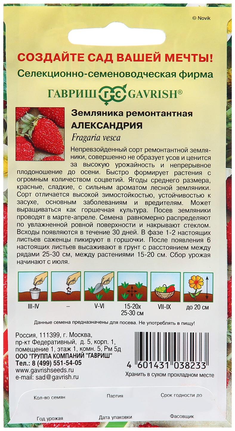 Семена Земляника 