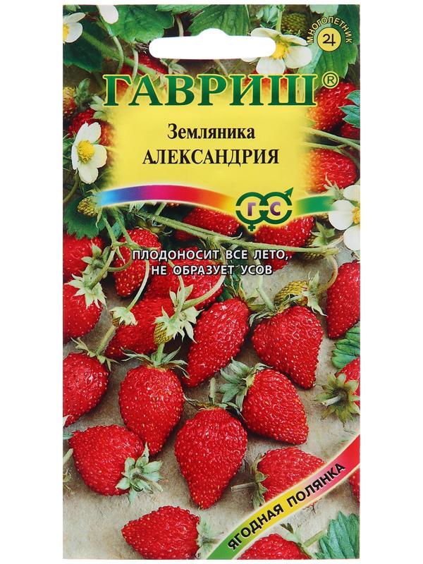 Семена Земляника 