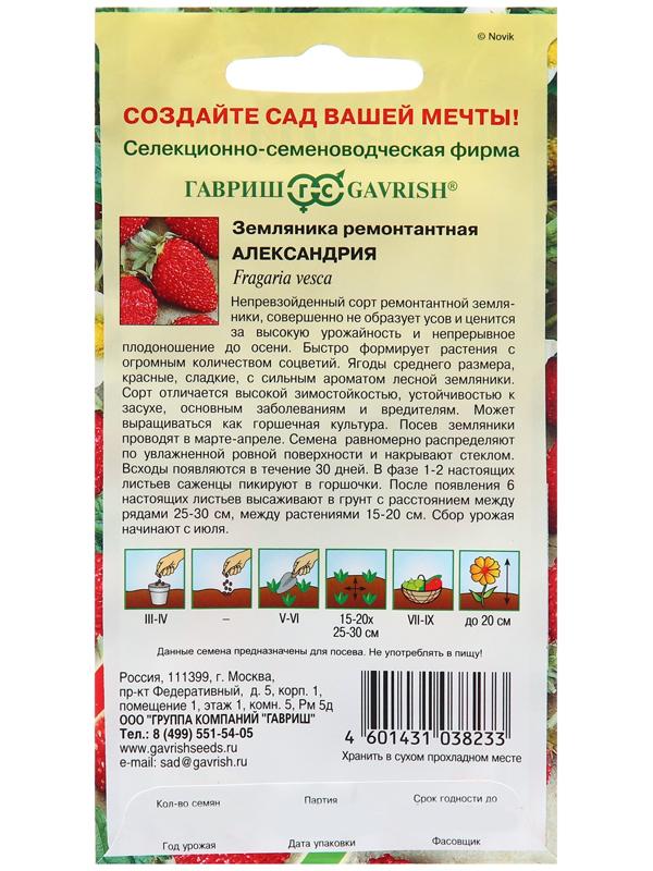 Семена Земляника 