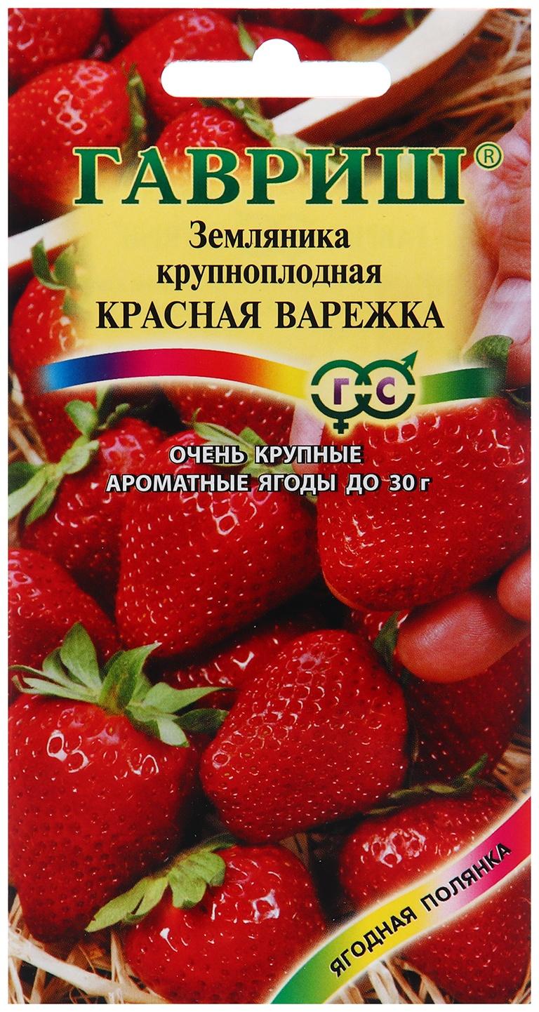 Семена Земляника 