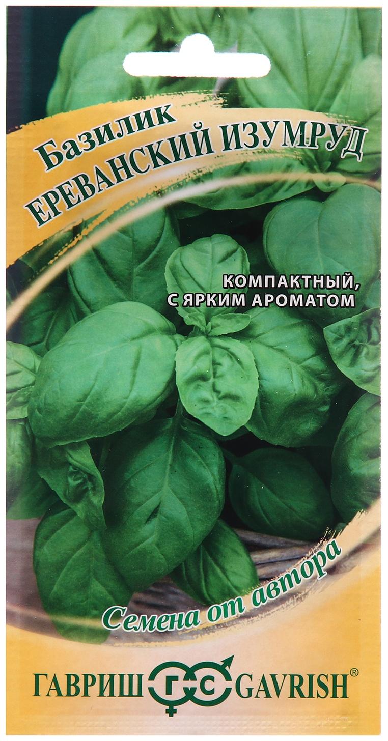 Семена Базилик 