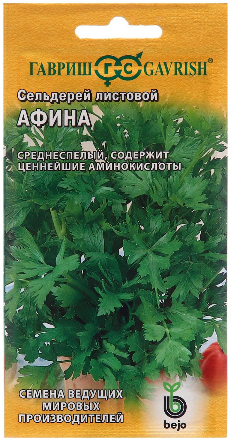 Семена Сельдерей 