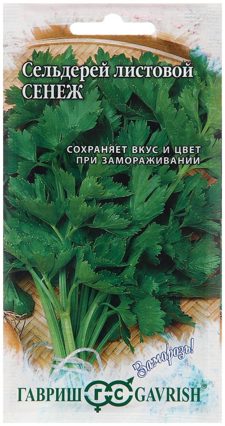 Семена Сельдерей 