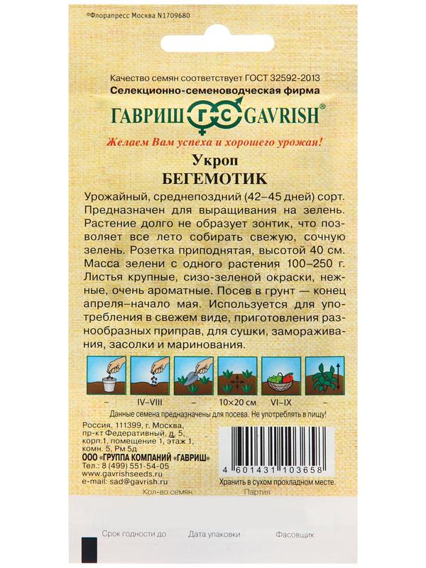 Семена Укроп 