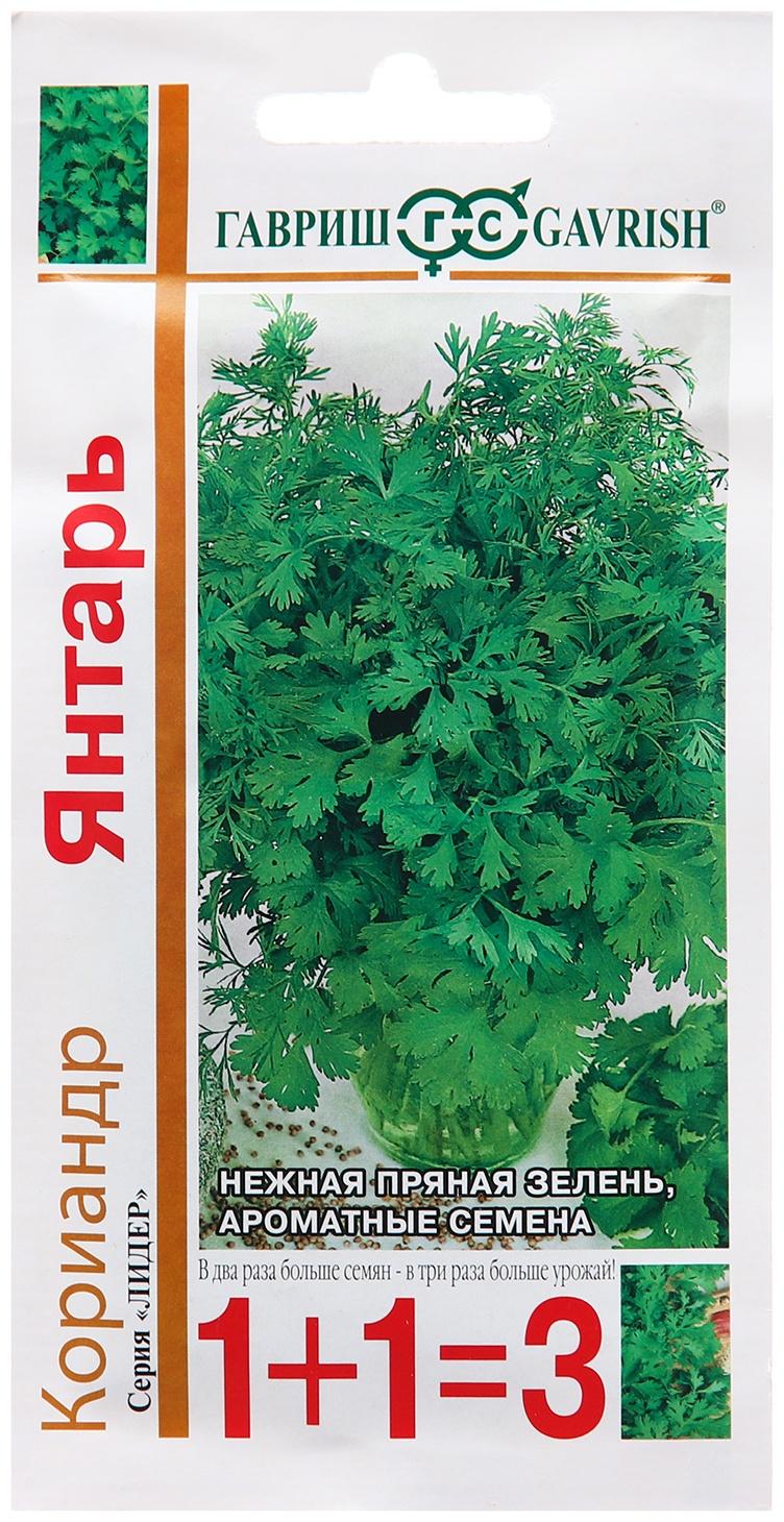 Семена Кориандр 