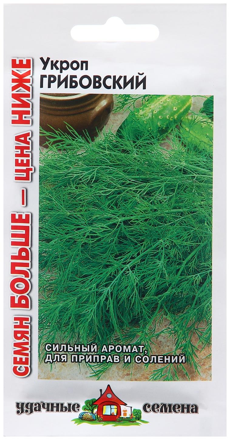 Семена Укроп 