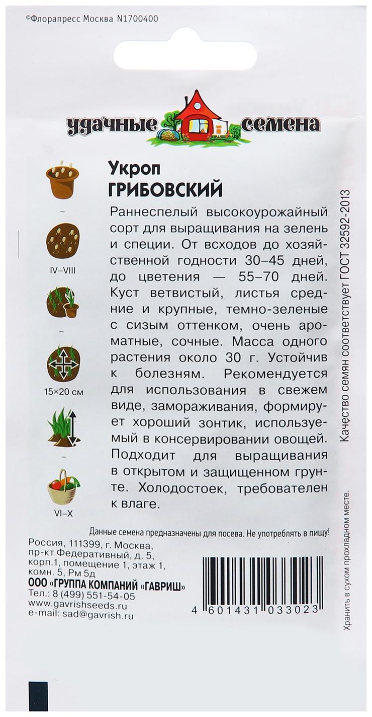 Семена Укроп 