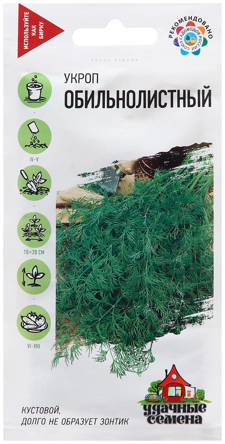 Семена Укроп 