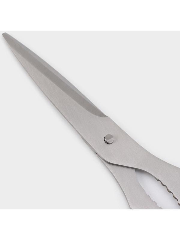 Ножницы кухонные Доляна Classic, 18 см