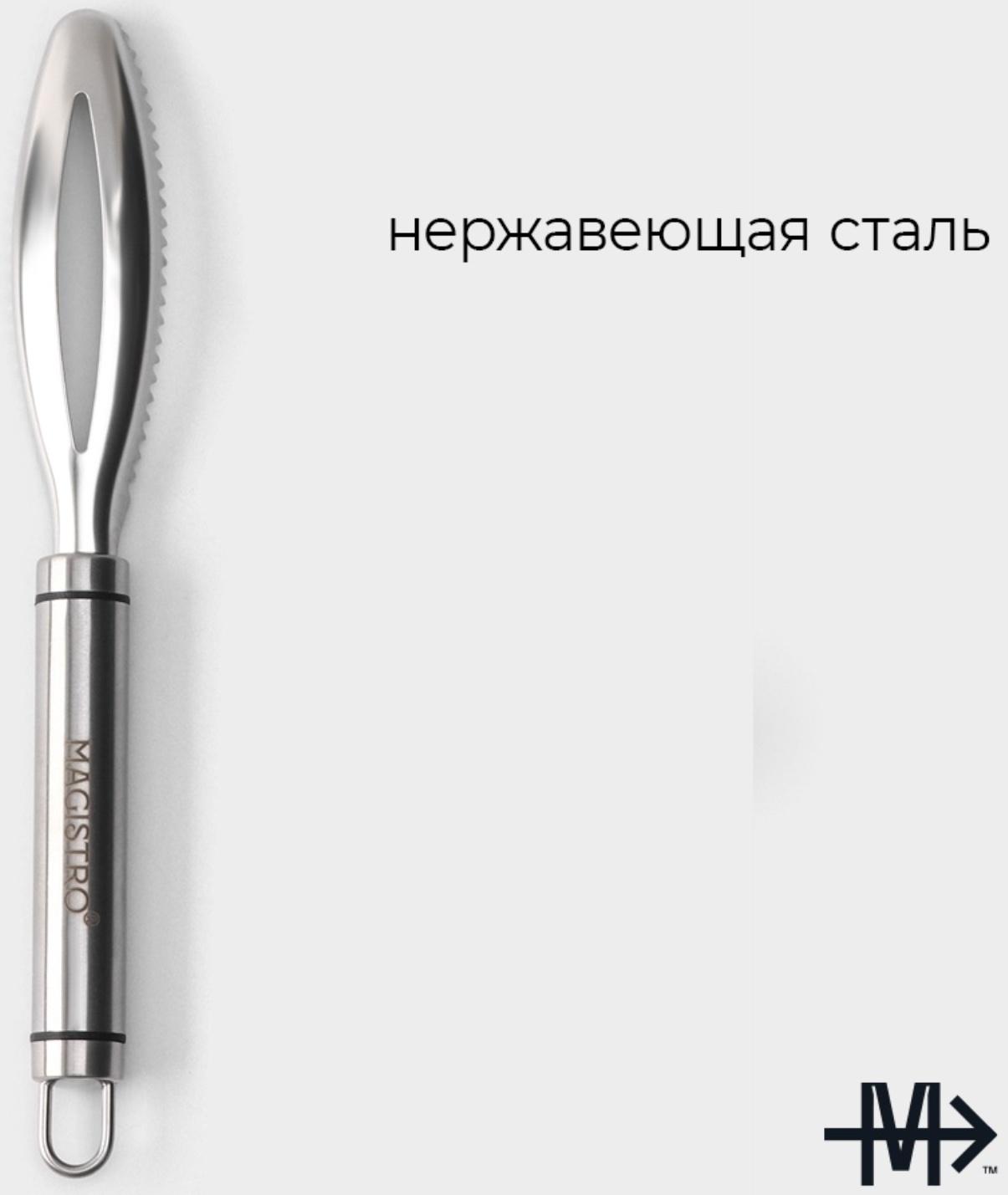 Рыбочистка Magistro Solid, нержавеющая сталь, цвет хромированный