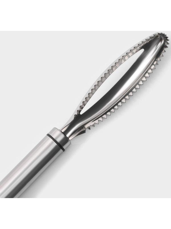 Рыбочистка Magistro Solid, нержавеющая сталь, цвет хромированный