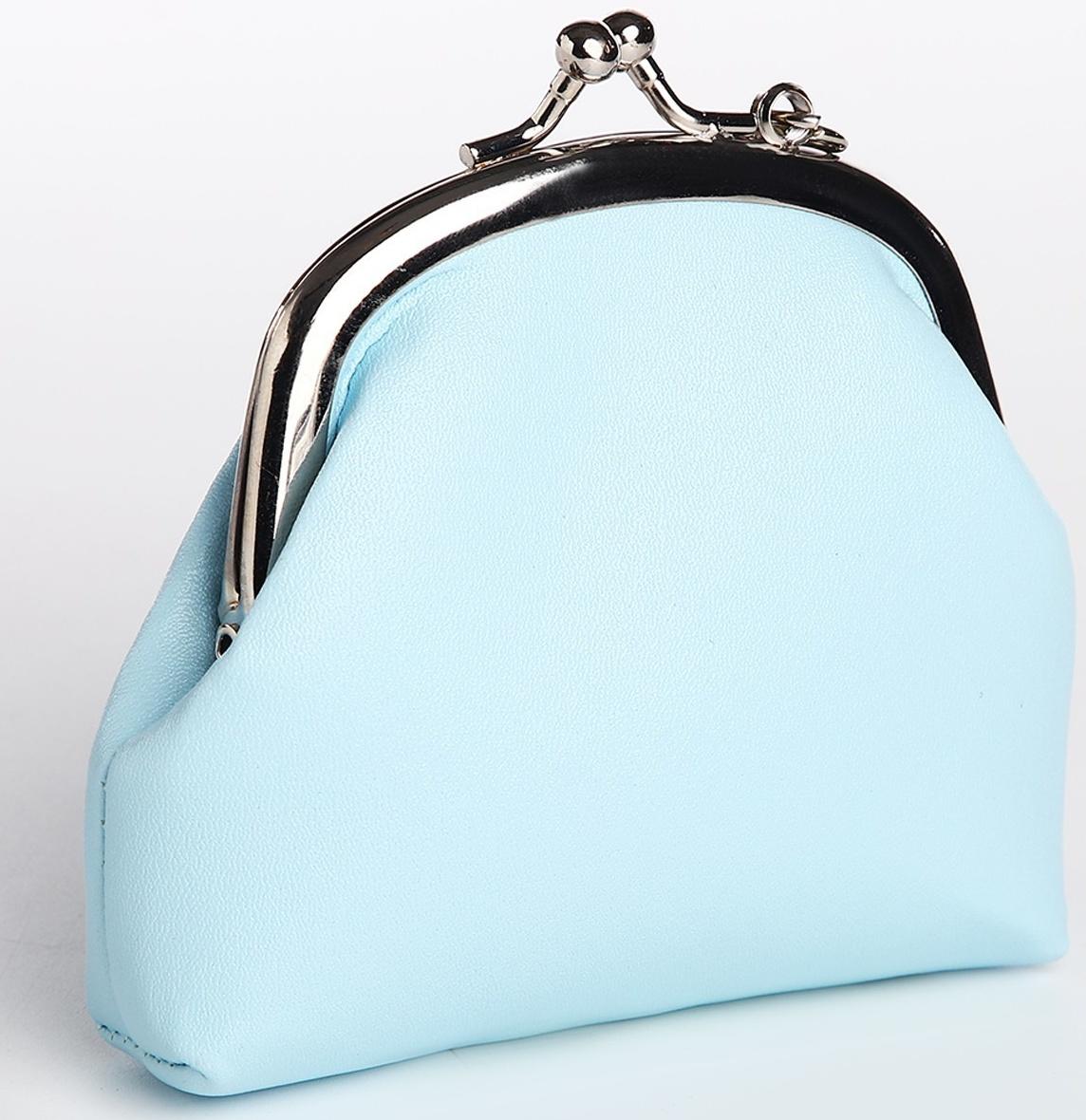 Кошелёк на фермуаре, цвет голубой