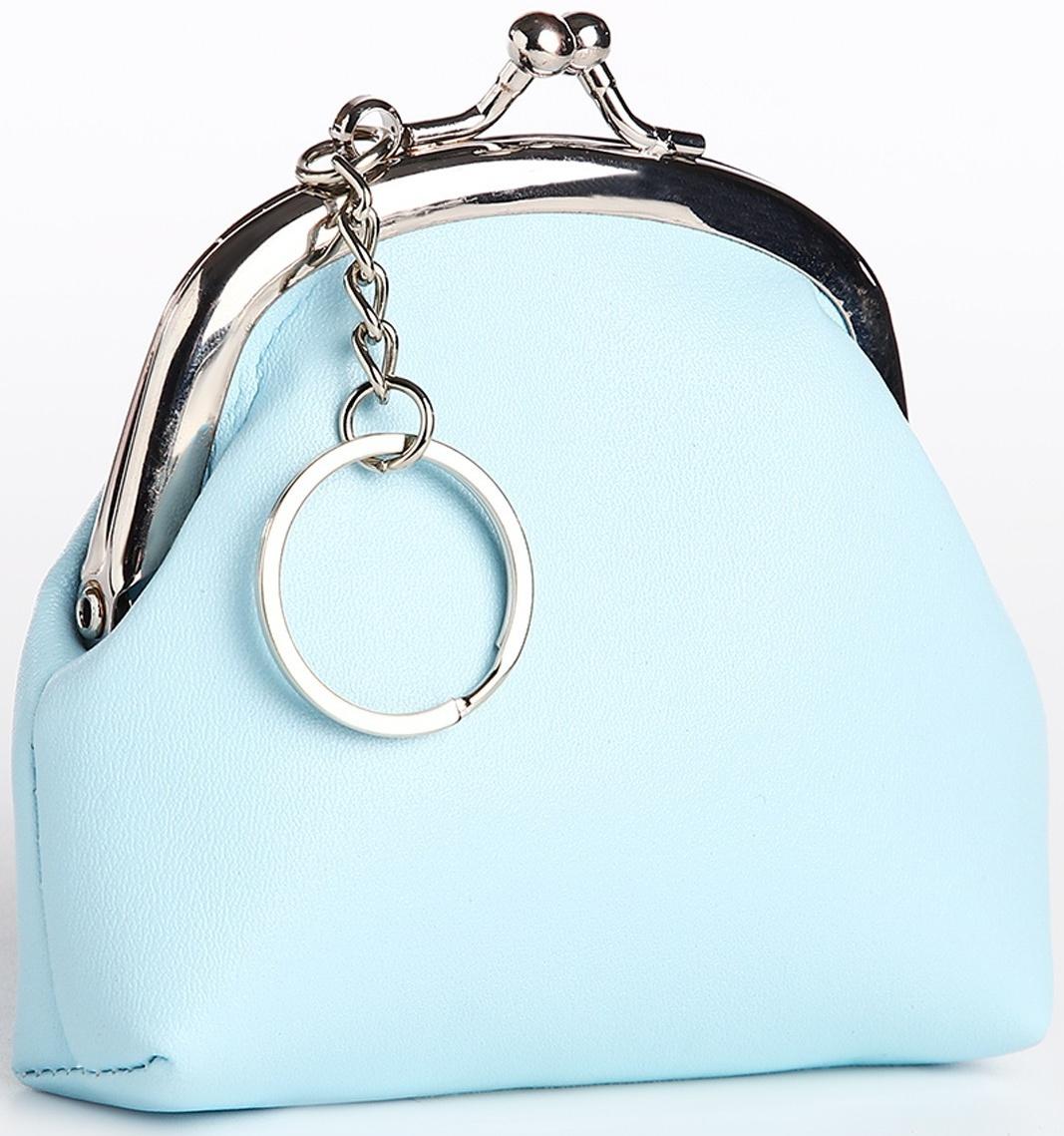 Кошелёк на фермуаре, цвет голубой