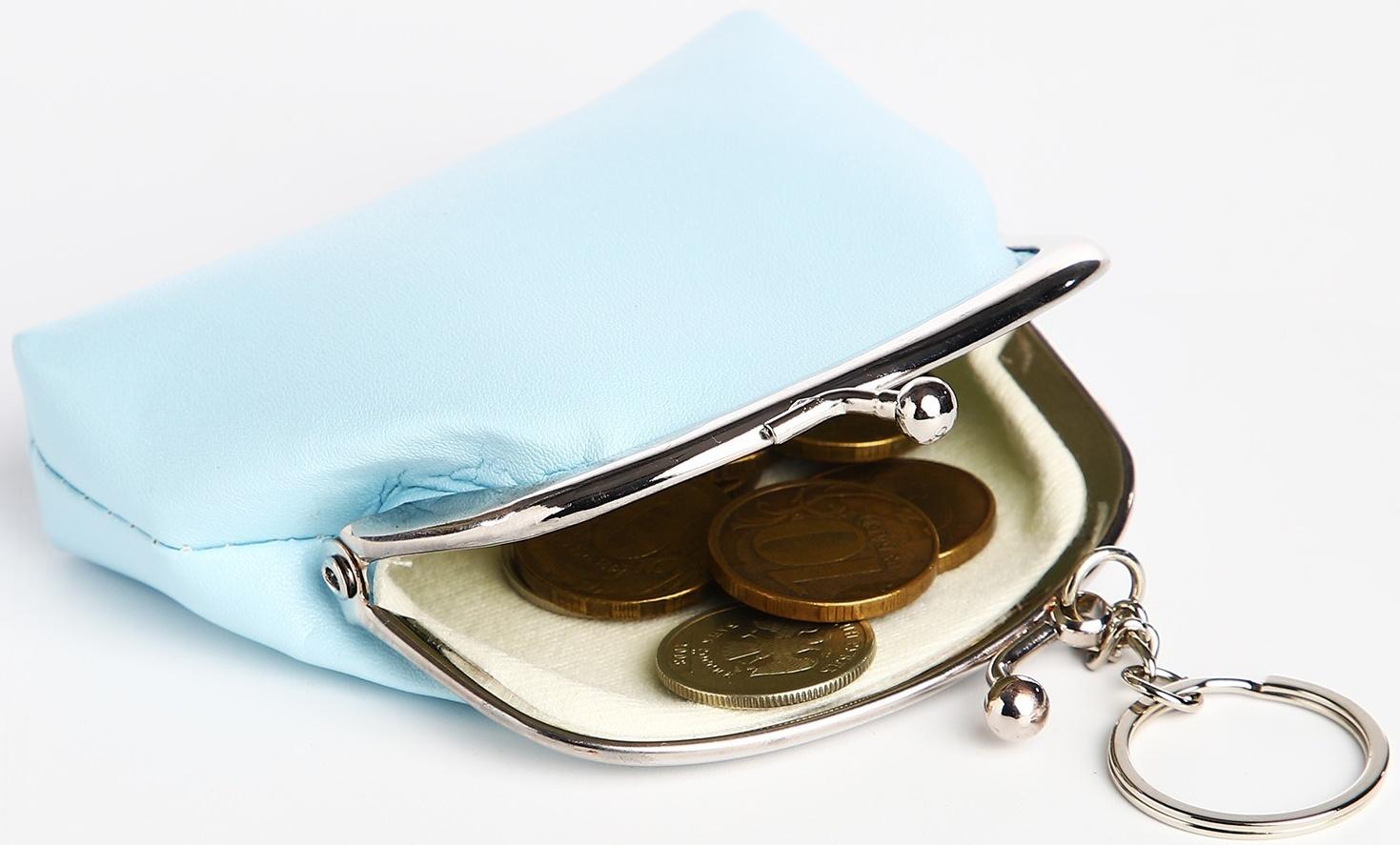 Кошелёк на фермуаре, цвет голубой