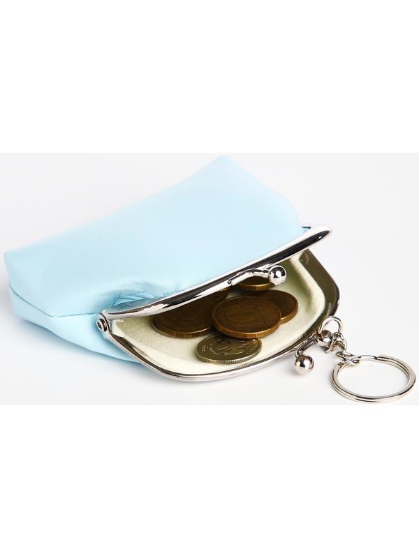 Кошелёк на фермуаре, цвет голубой