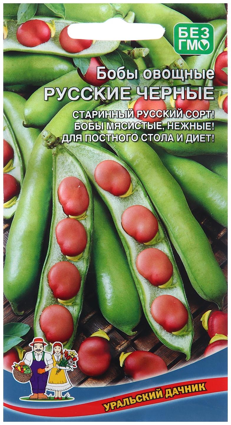 Семена Бобы 