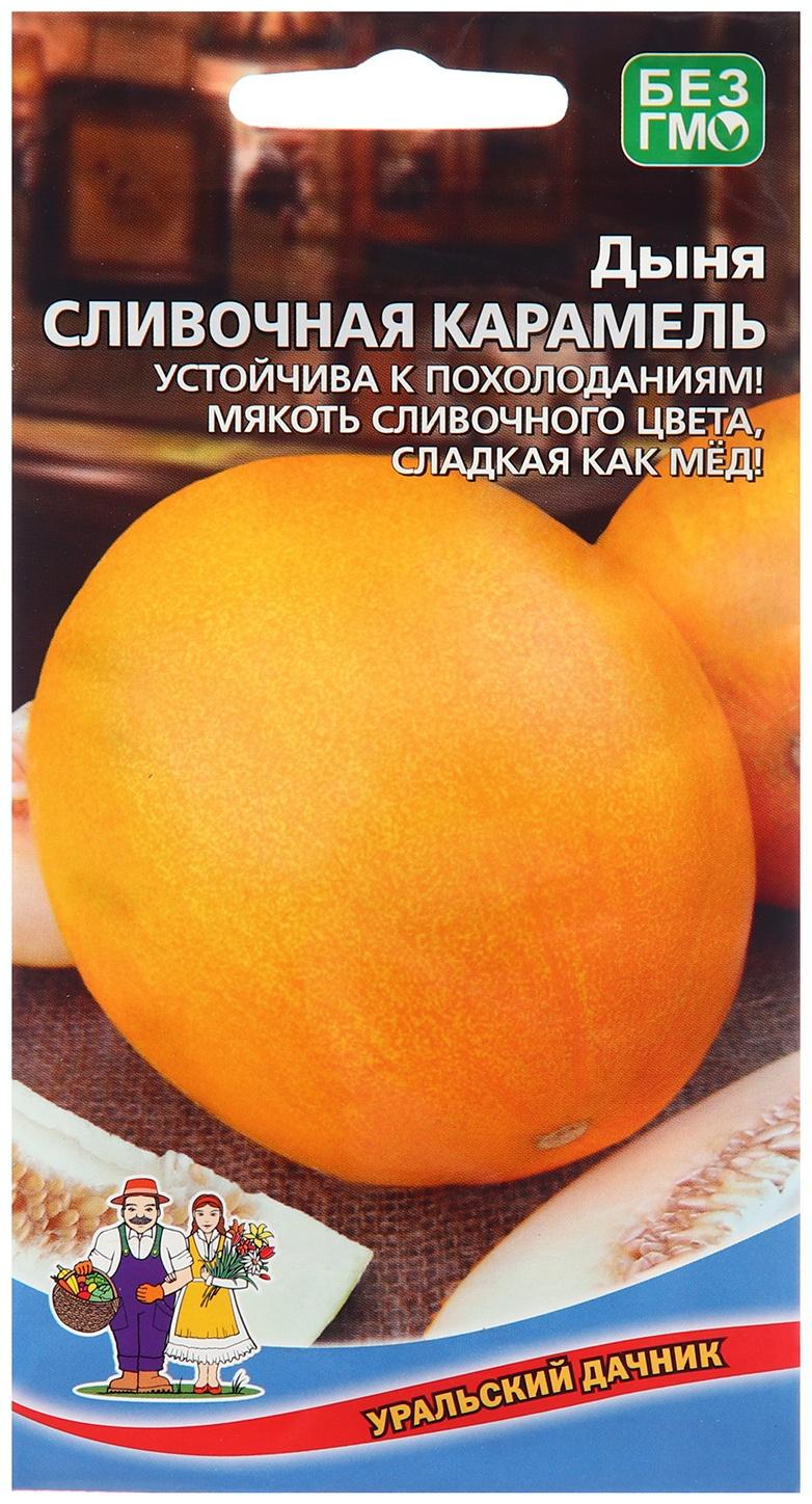 Семена Дыня 