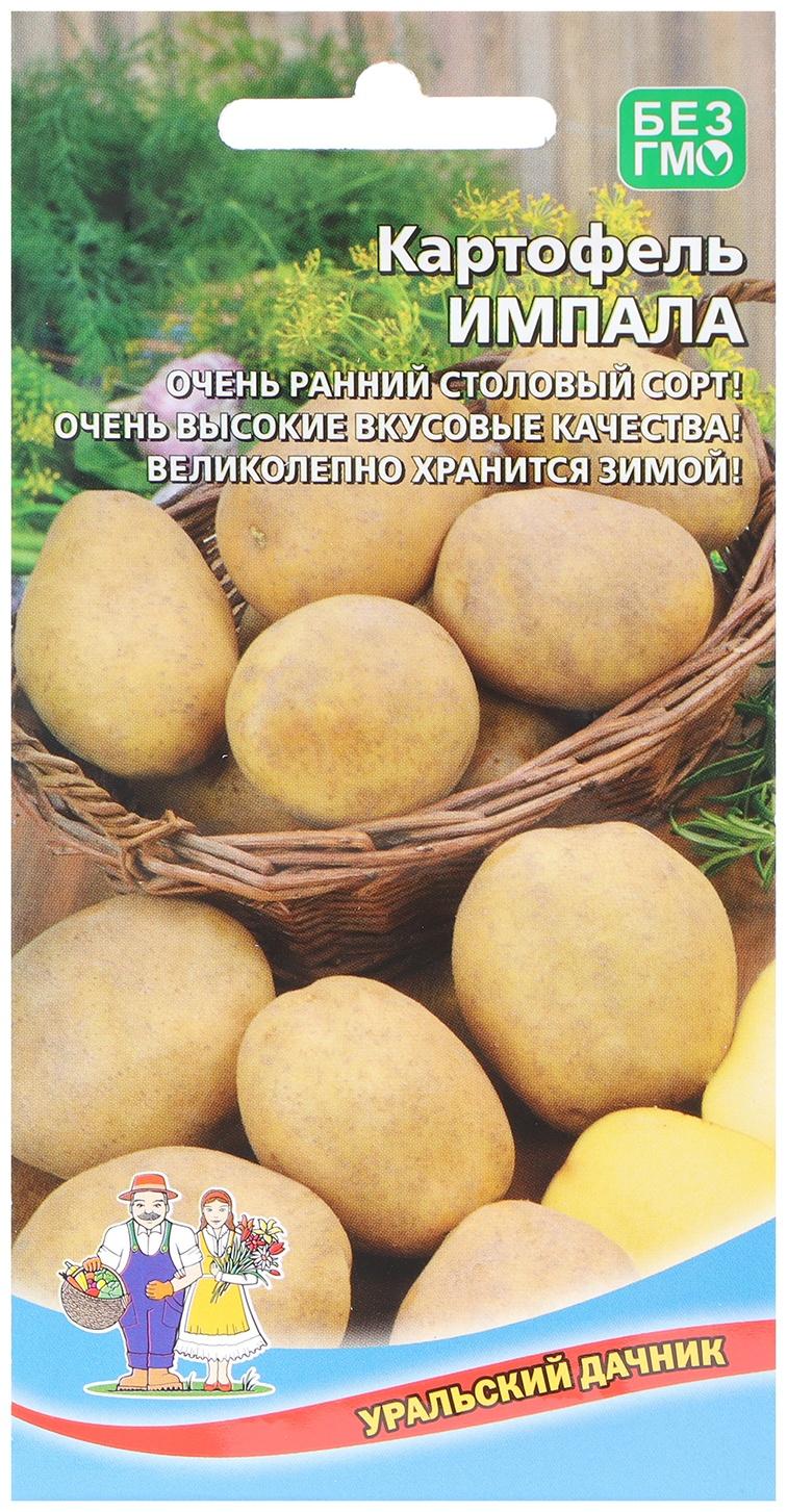 Семена Картофель 