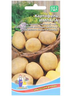 Семена Картофель 