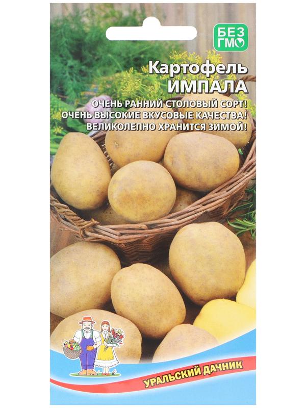 Семена Картофель 