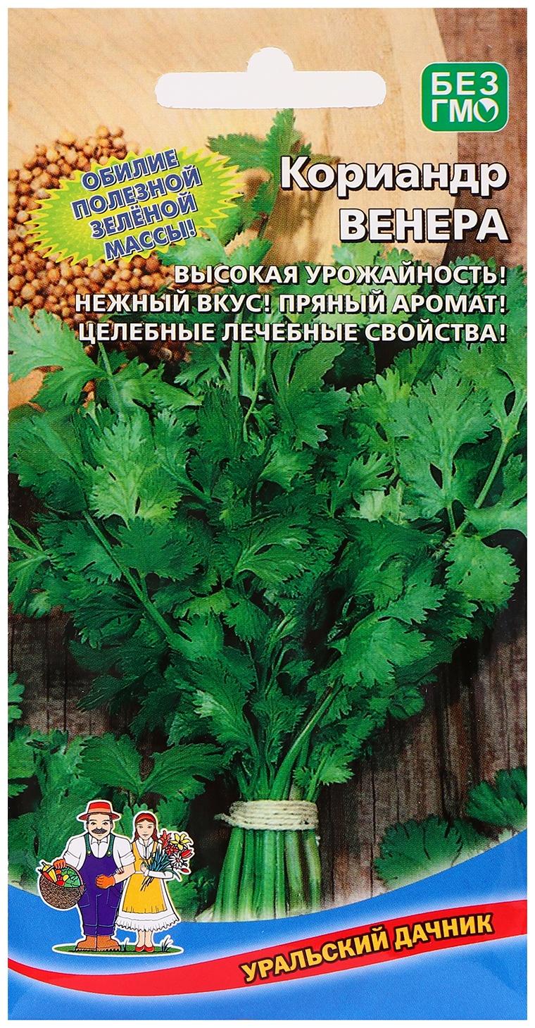 Семена Кориандр 