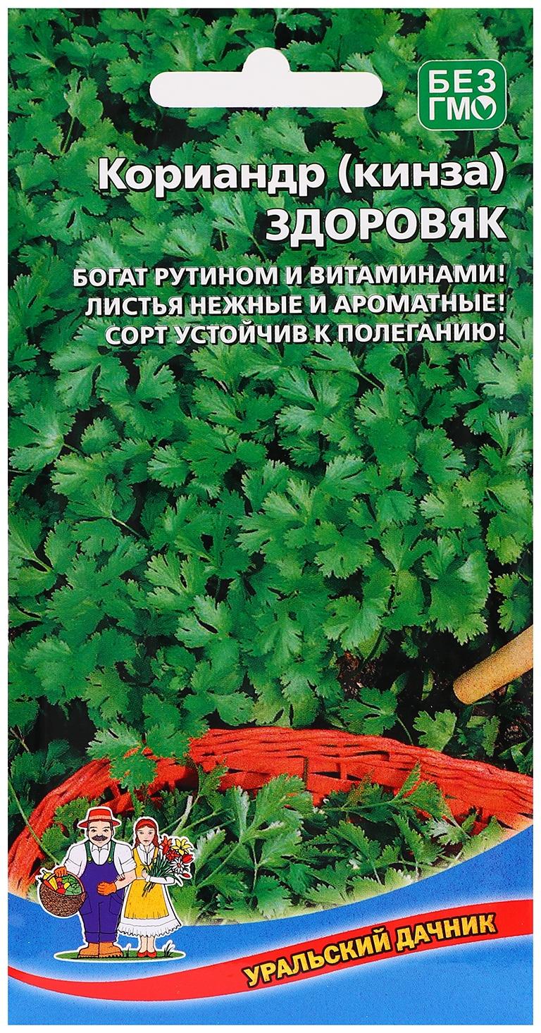 Семена Кориандр 