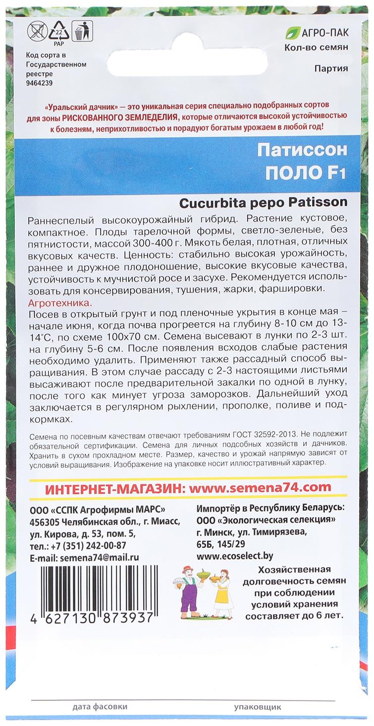 Семена Патиссон 