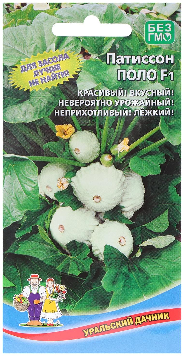 Семена Патиссон 