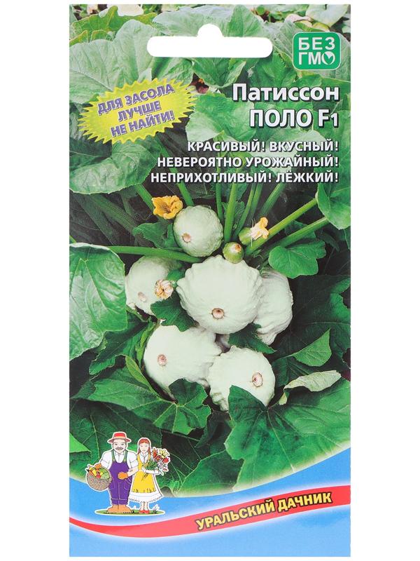 Семена Патиссон 