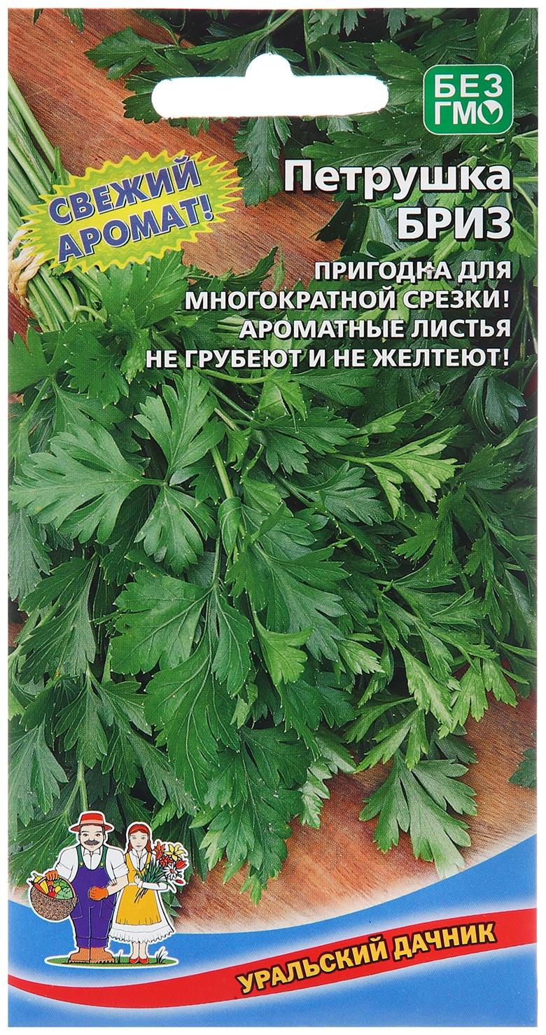 Семена Петрушка 