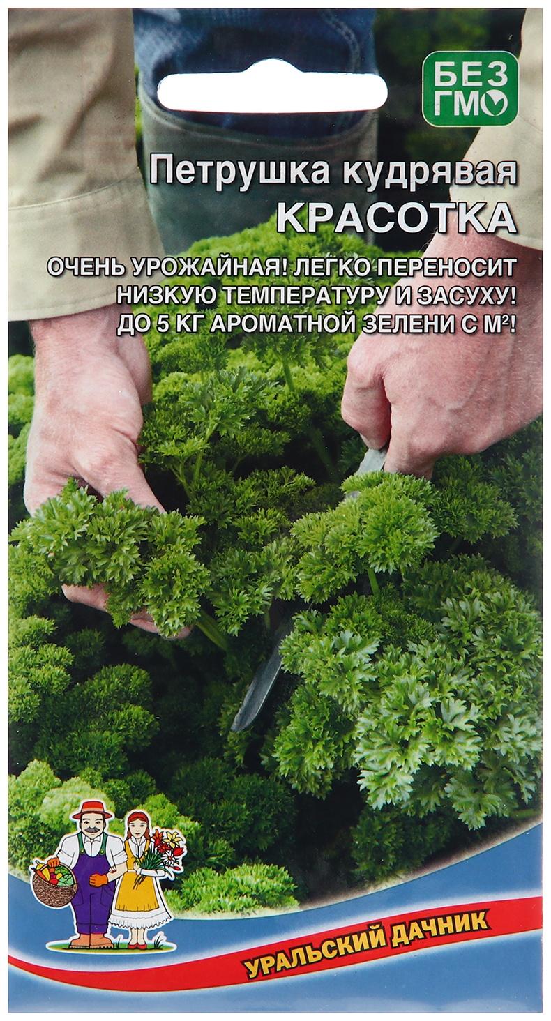 Семена Петрушка 