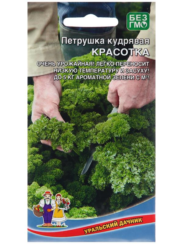 Семена Петрушка 