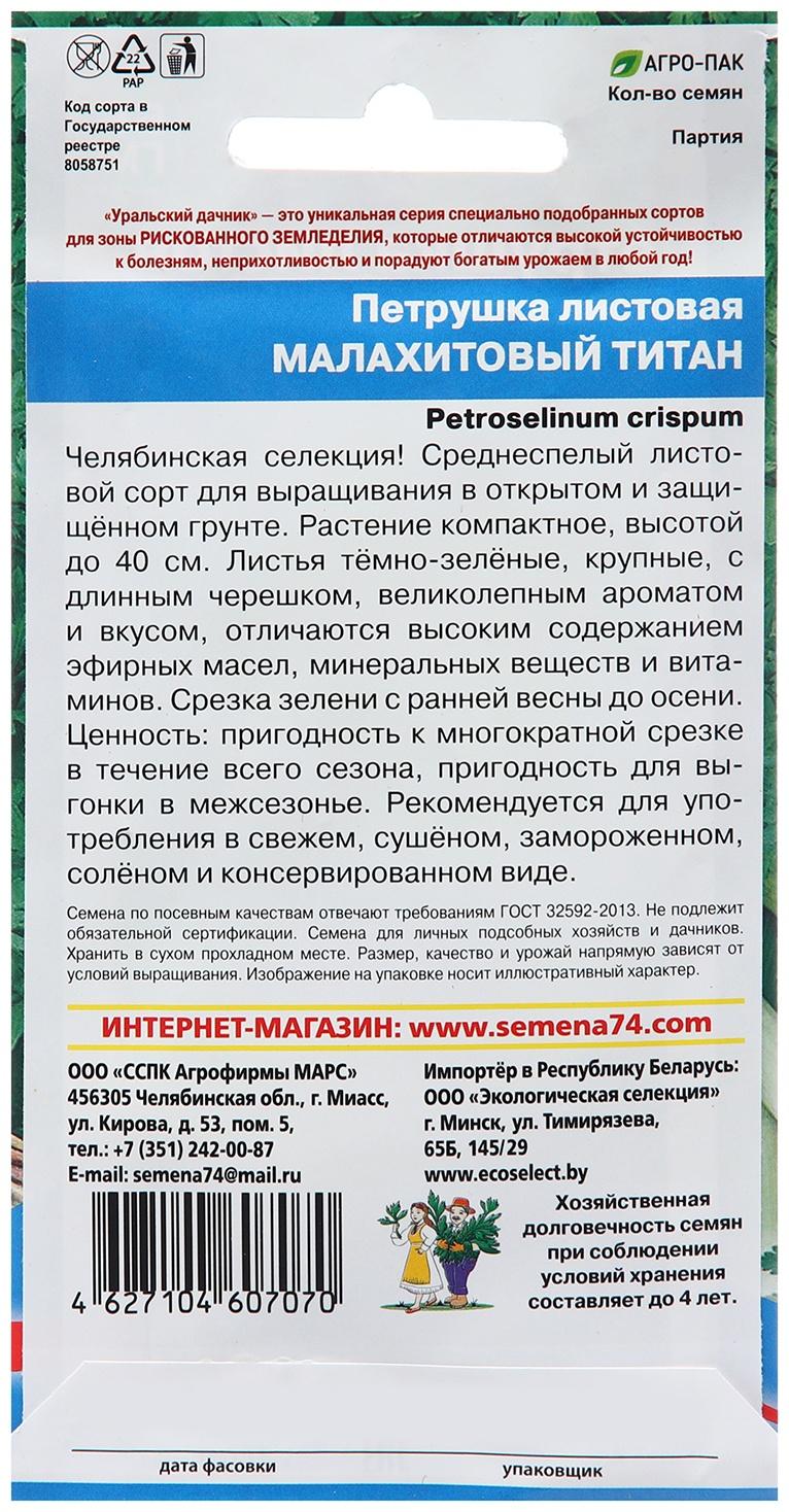 Семена Петрушка 