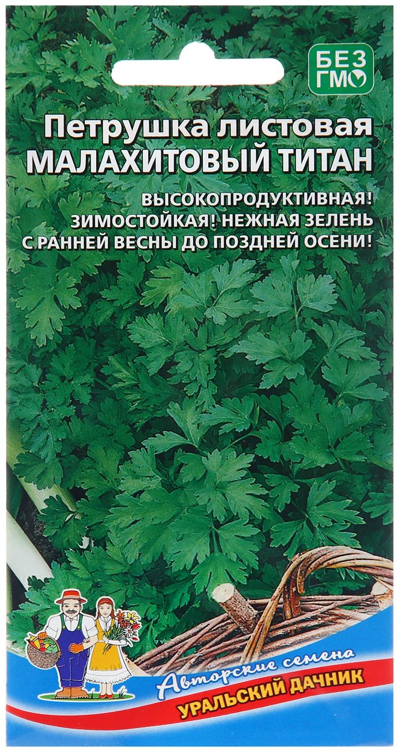 Семена Петрушка 