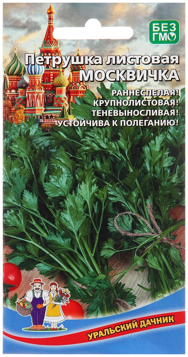 Семена Петрушка 