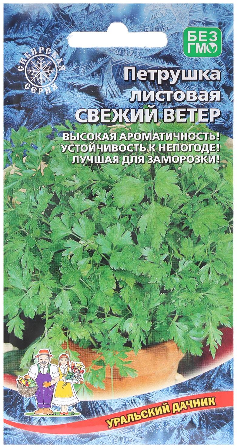 Семена Петрушка 