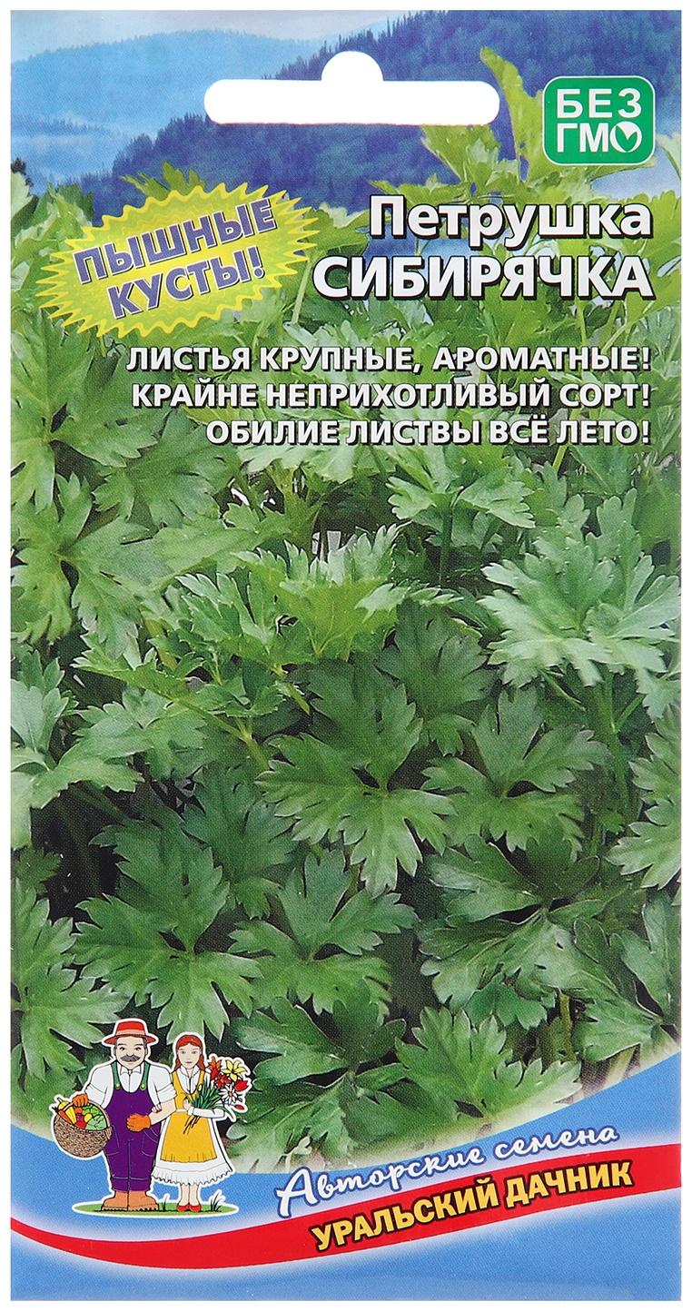 Семена Петрушка 