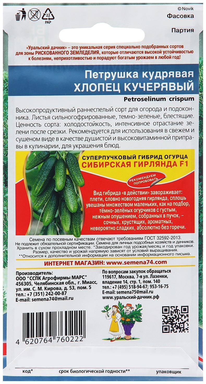 Семена Петрушка 