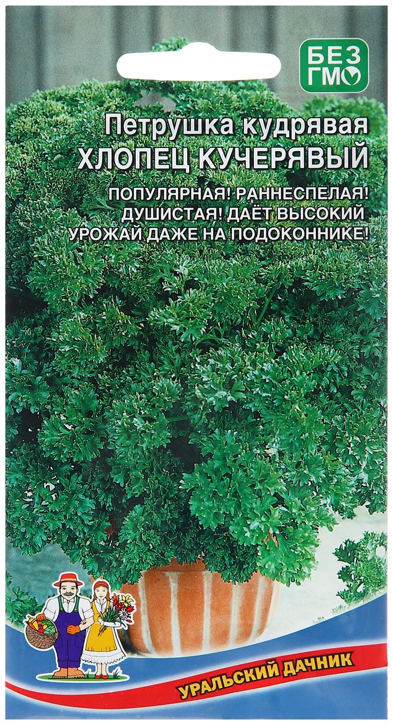 Семена Петрушка 