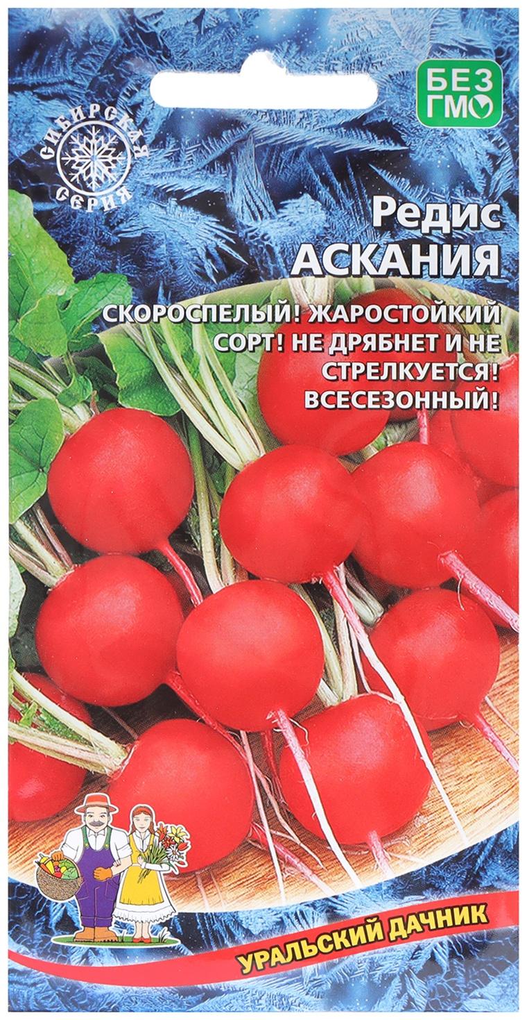 Семена Редис 